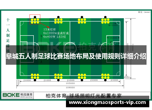 阜城五人制足球比赛场地布局及使用规则详细介绍